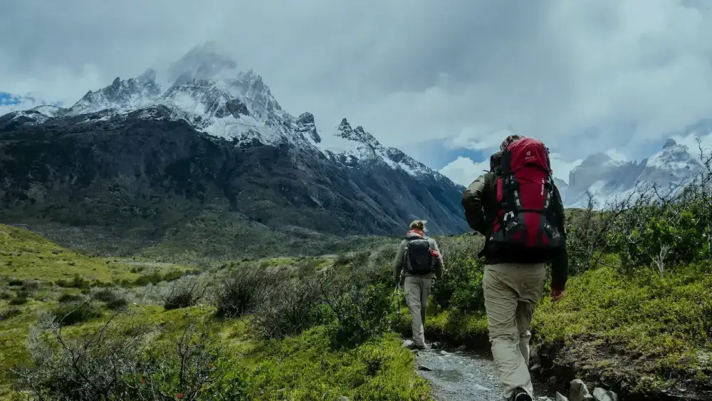 About Master himalaya