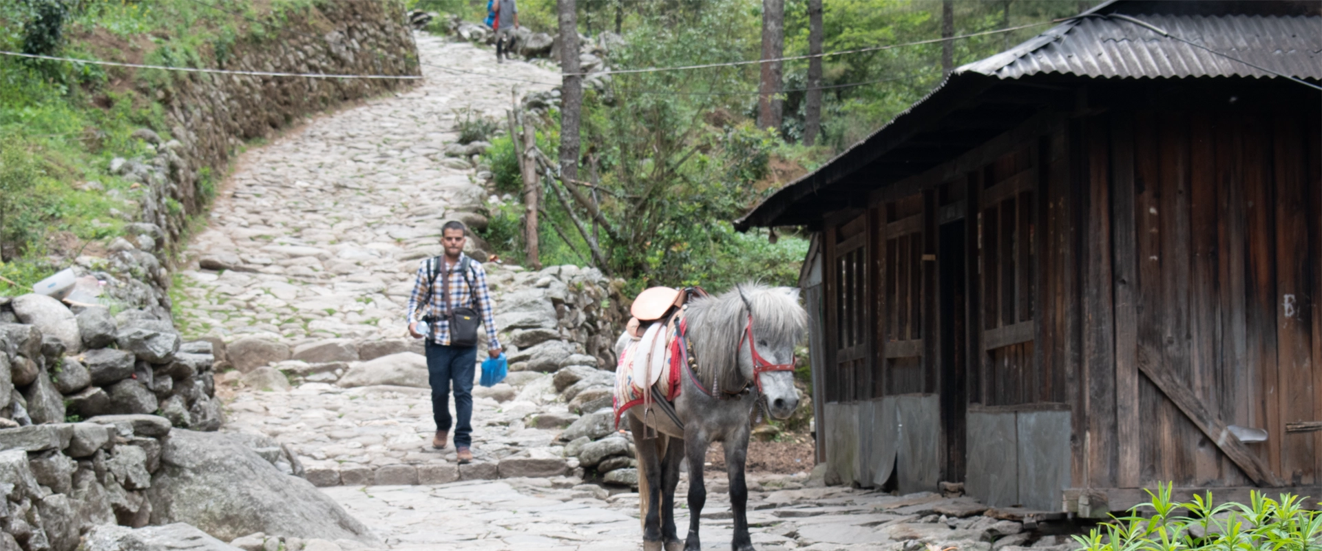 Trekking Guide Qualification Standards in Nepal: What International Trekkers Must Know