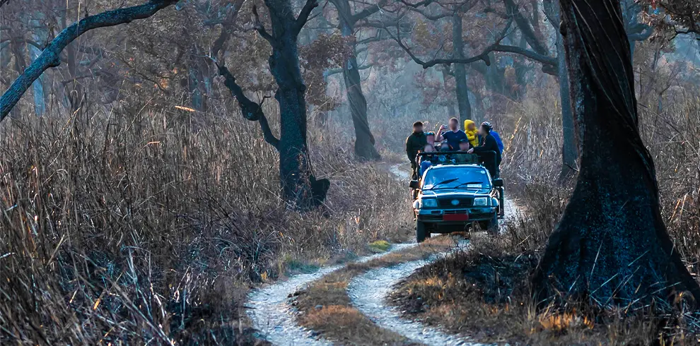Bardiya National Park Jungle Safari