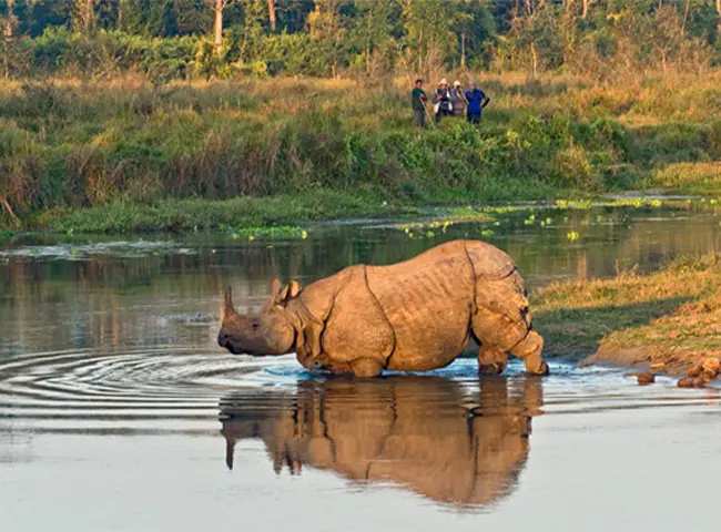 Chitwan National Park Jungle Safari