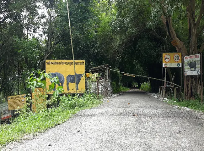 Koshi Tapu Wildlife Reserve Jungle Safari