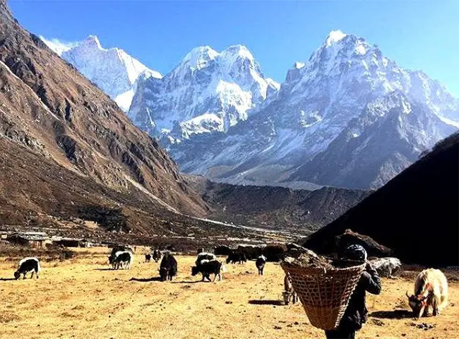 Kunchenjunga South Base Camp 16 Days