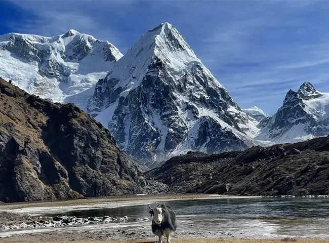 Kanchenjunga Circuit Trek 18 Days