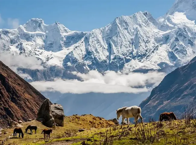 Manaslu Circuit Trek with tsum valley 17 Days