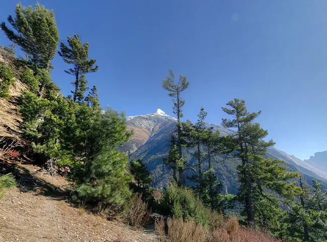 Annapurna Base Camp Round Trek 13 Days