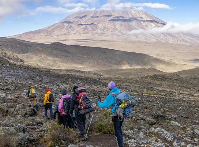 Kilimanjaro Trek