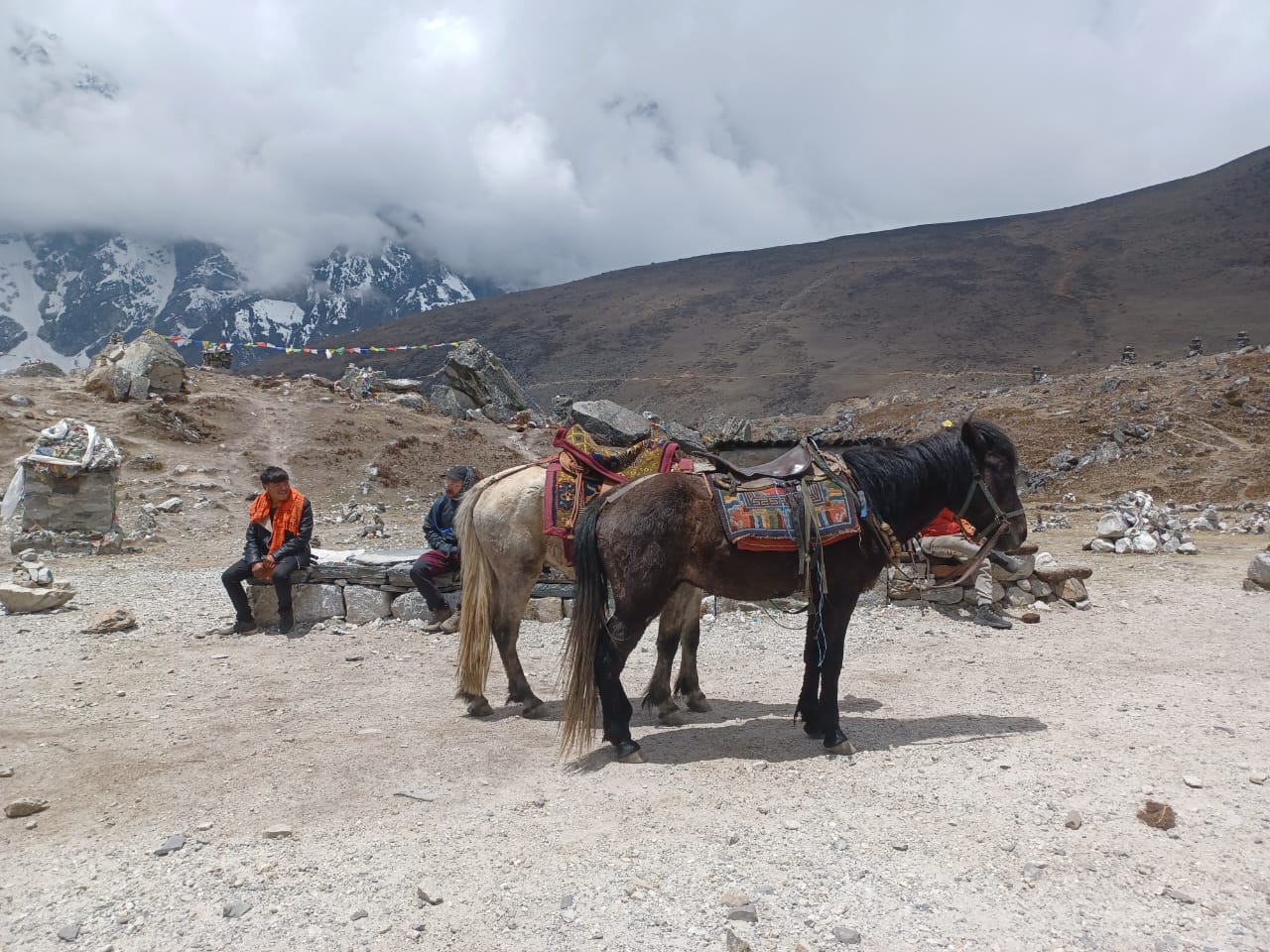 Master Himalaya - 668